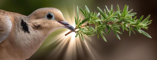 A dove with its beak open and a branch in its mouth photo
