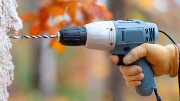 A person is using an electric drill to cut a tree photo