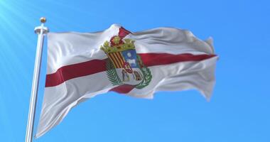 Flag of the spanish province of Teruel in Aragon, Spain Loop video