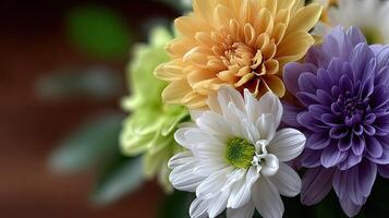 A close up of a bunch of colorful flowers photo