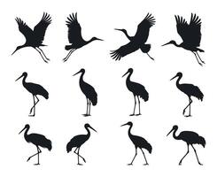 Collection of Black and White Crane Silhouettes in Various Poses cranes flight standing positions crane bird silhouette wildlife nature black white flying standing vector