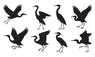 Black Heron Silhouettes in Various Poses Illustration vector