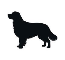 Black and white silhouette of a golden retriever vector