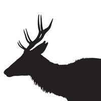 Silhouette of Deer with Antlers Isolated on White Background vector