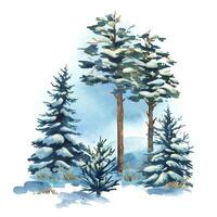 Vertical composition with snowy fir and pine trees. Hand-painted watercolor illustration suitable for logos, branding, or isolated forest elements. Watercolor illustration vector