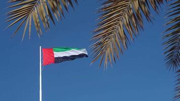 UAE flag waving in the blue sky between palm trees, national symbol of UAE video