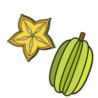 Starfruit in doodle technique botanical illustration vector