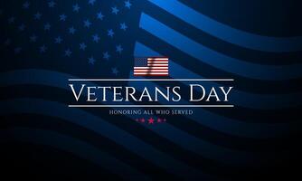 Veterans Day graphic with American flag vector