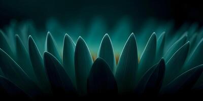 Teal Flower Petals Close Up Macro Photography Dark Background photo