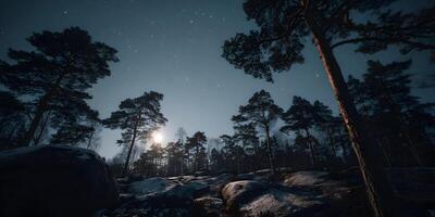 Night Forest Scene Snow Covered Rocks Pine Trees Moon Stars photo