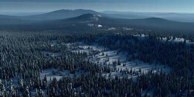 Aerial Snow Covered Forest Landscape Mountain Range View photo