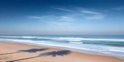 Ocean Beach Scene Palm Tree Shadows Sandy Shore Summer Vacation Seascape photo