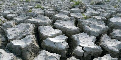 Cracked dry earth surface with drought soil texture photo