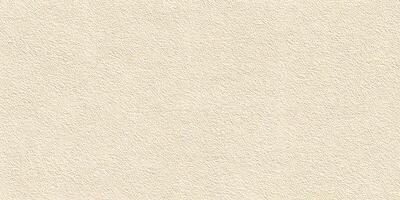 Beige Textured Background Cream Color Subtle Rough Surface Seamless Pattern photo