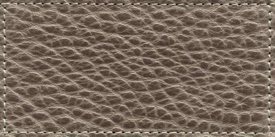 Grey Leather Texture Sample with Stitched Border Detailed Closeup Gray Material Background photo