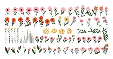 Colorful floral illustration design patterns vector