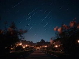A Rose Garden Is The Setting For A Meteor Shower photo