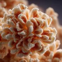 A Puffed Delight from Nature a Popcorn Kernel photo