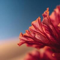 A Single Speck of Sand on a Red Desert Bloom photo