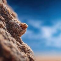 A Speck of Sand on a Lichen Covered Desert Rock photo