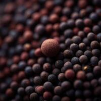 Spicy Secret from Nature the Brown Mustard Seed photo