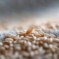 A Staple from Nature the Humble Rice Grain photo