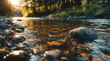A Shimmering River In The Tropics During Sundown photo