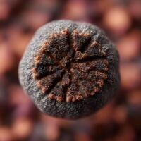 A Tiny Secret From Nature Is The Poppy Seed photo