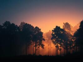 An Enigmatic and Misty Dawn Over a Calm Forest photo