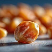 An Uncooked Corn Kernel Represents Raw Potential photo
