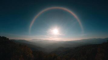 An Expansive Forest Under a Solar Halo Effect photo