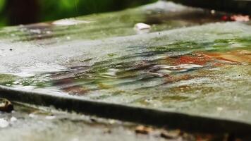 Close-up of Raindrops Splashing on a Rustic Wet Surface in Outdoor Natural Environment video