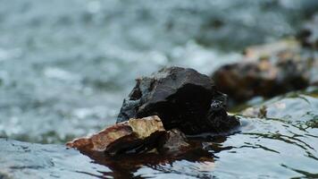 Close-up View of Smooth Stones with Flowing Water in a Serene River Environment video