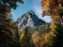 Autumn Leaves Framing A View Of A Mountain Peak photo