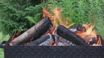 Close-Up of Burning Logs in Outdoor Metal Fire Pit Surrounded by Lush Greenery in Natural Setting video