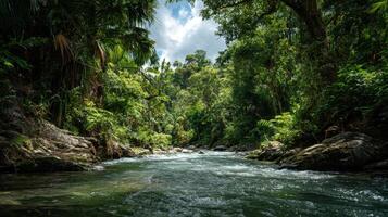 An Untamed Jungle River With Vibrant Surroundings photo