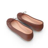 Brown Leather Ballerina Flats Womens Fashion Footwear, 3d, white background photo