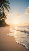 Sunlit Shores and Palm Tree Dreams photo
