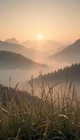 Tranquil Mountains Wrapped in Fog photo