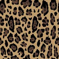 leopard pattern seamless and timeless vector