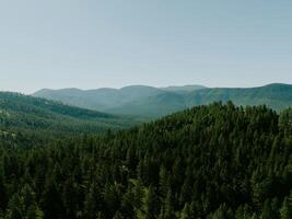 A view of the mountains and forest from above photo