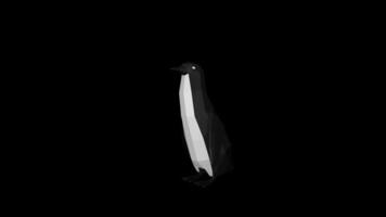 Low Poly Pinguin Side View video