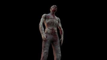 Realistic Zombie Idle Pose video