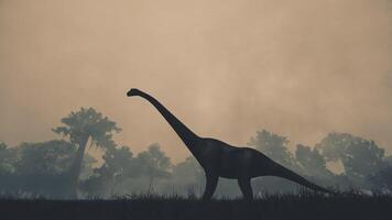 Old Dinosaur Background video