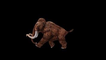 Ancient Mammoth Run Side View video