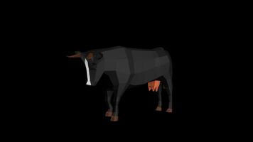 Low Poly Black Cow Idle Pose video
