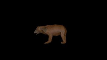 Bear Attacking Side View video