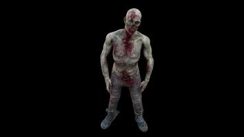Realistic Zombie Front Idle Pose video