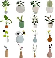 Collection of Potted Houseplants and Flowers in Vases vector