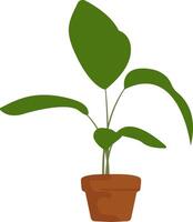Simple Green Plant in Terracotta Pot vector